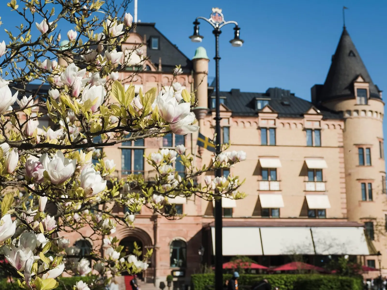 Hotellfasad i Lund med blommande magnolia framför